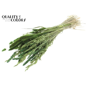Dried Flower mix bunch Light Green