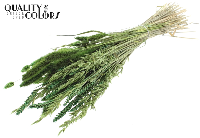 <h4>Dried Flower mix bunch Light Green</h4>