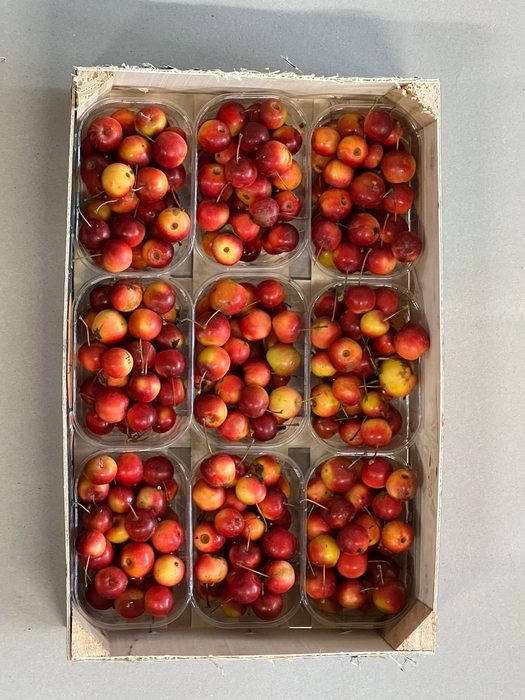 <h4>MALUS PER BAK OV</h4>