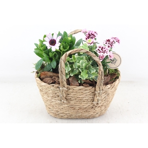 arr4 Outdoor PL - Mand hengsel ovaal 344/4