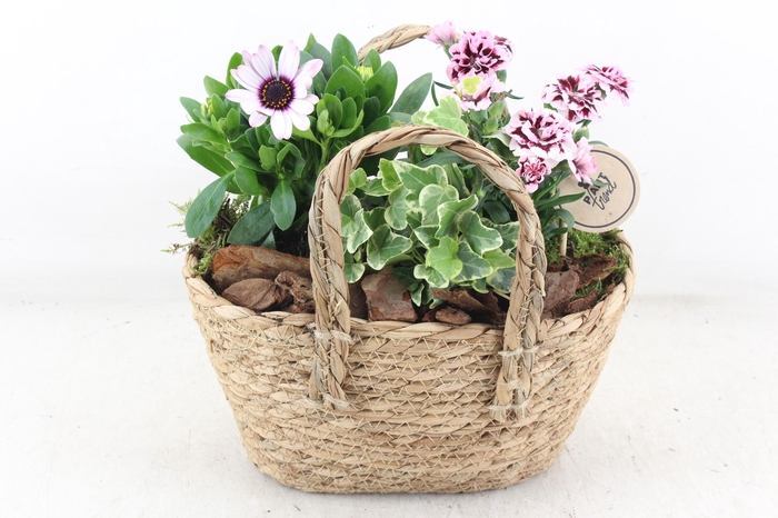 <h4>arr4 Outdoor PL - Mand hengsel ovaal 344/4</h4>