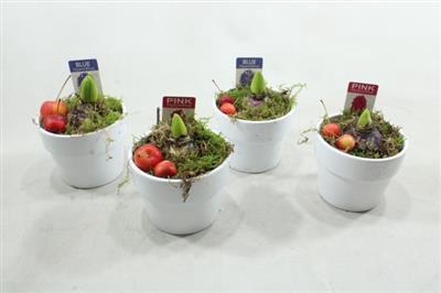 <h4>1103 Ker Hya Potje</h4>