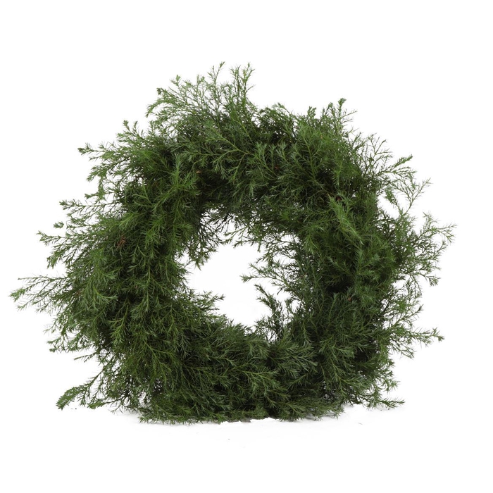 <h4>Krans Squarosa 30cm</h4>