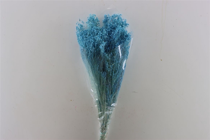 <h4>Dried Brooms L Blue Bunch</h4>