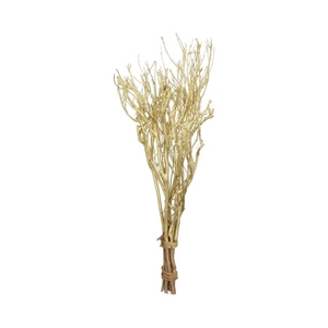 Droogbloem Tea branch 65 cm