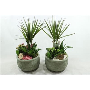 5715 KER GREEN DRACENA