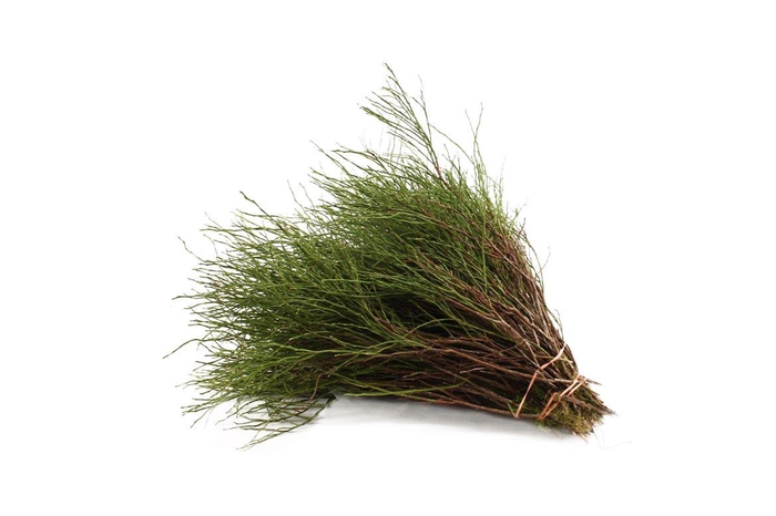 <h4>Heidelbeer Extra</h4>