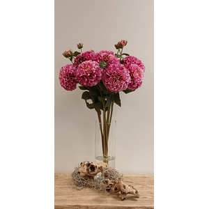 DAHLIA SPRAY BEAUTY FL440361BEA L65
