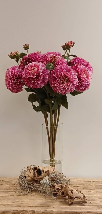 <h4>DAHLIA SPRAY BEAUTY FL440361BEA L65</h4>