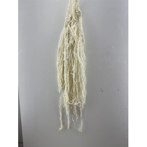 Pres Amaranthus Caud Bleached Bunch