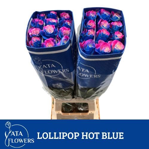 <h4>R Gr Klb Lollipop Hot Blue ATA</h4>