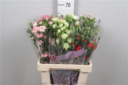 <h4>Di Tr Gem In Fust</h4>