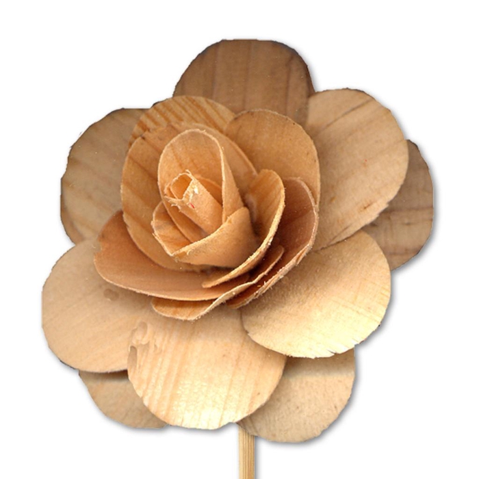 <h4>Woodrose 5cm On 50cm Stem Natural</h4>