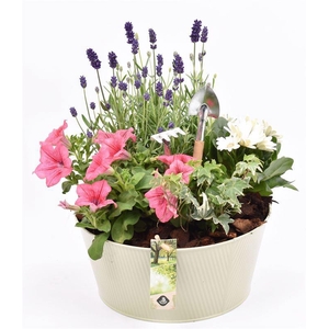 Zink schaal ribbell khaki 25cm