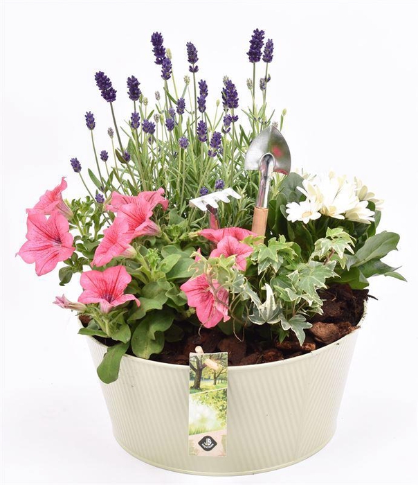 <h4>Zink schaal ribbell khaki 25cm</h4>