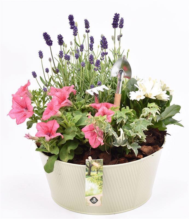 <h4>Zink schaal ribbell khaki 25cm</h4>