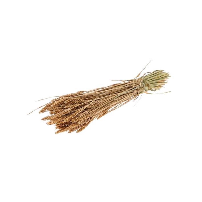 <h4>Bunch Triticum Slv 200g L60</h4>