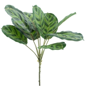 Maranta leaf spray Taco green 43cm