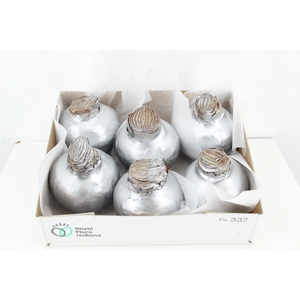 BOL HIPP WAX SILVER 36-38CM