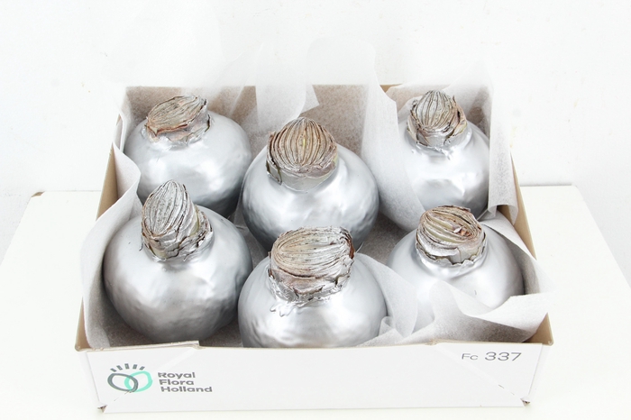 <h4>BOL HIPP WAX SILVER 36-38CM</h4>