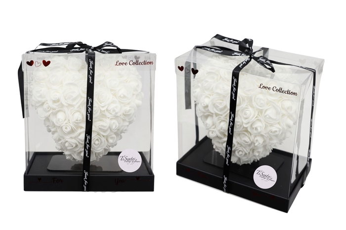 <h4>ARR ROSA POT H%</h4>