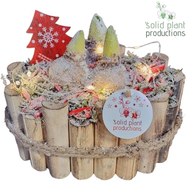 <h4>Arrangementen Hyacinthus 6%</h4>