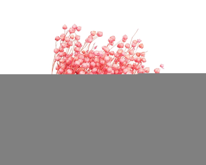 Lino Vlas Pink