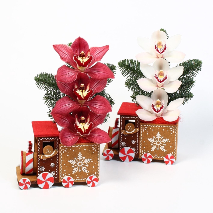 <h4>CYMB VERPAKT P BLOEM 2166</h4>