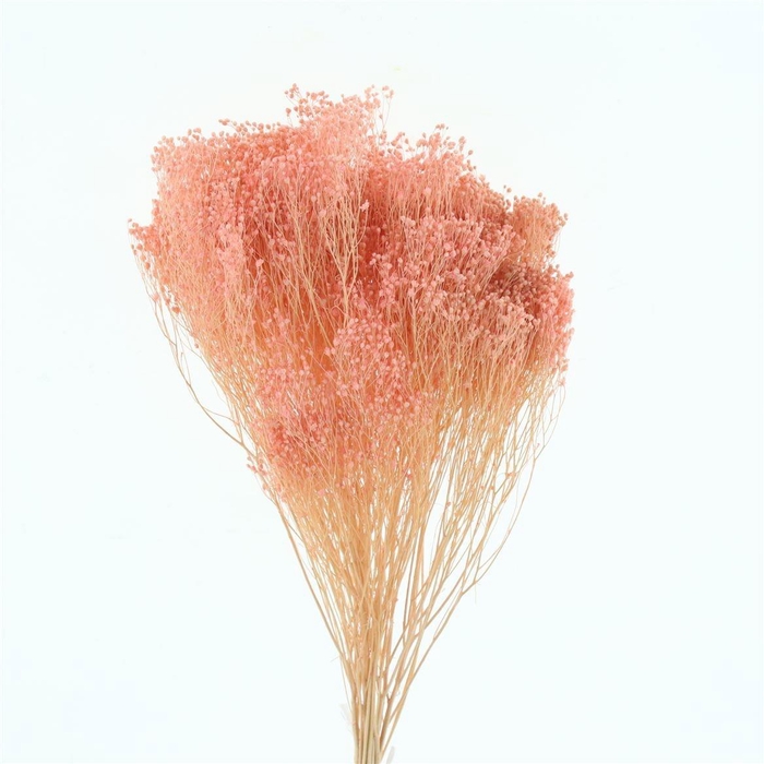 <h4>DROOGBL BEWERKT H%</h4>