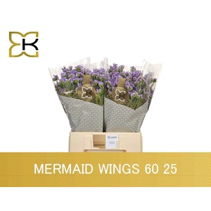 LIM S MERMAID WINGS