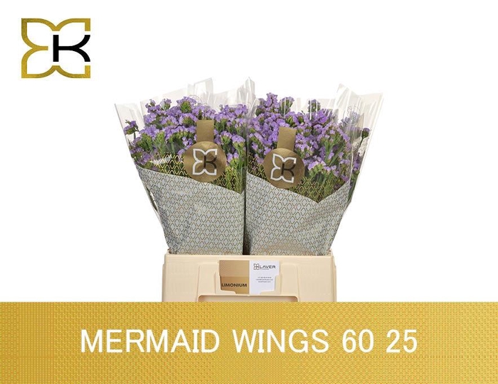 <h4>LIM S MERMAID WINGS</h4>