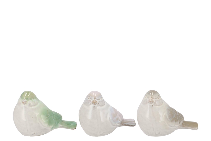 Jet Green Bird Ass 16x10x11cm