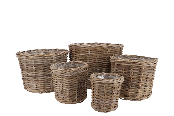 Rattan Ivy Natural Cilinder Set 5 17x17/23x20/27x23/34x26/40