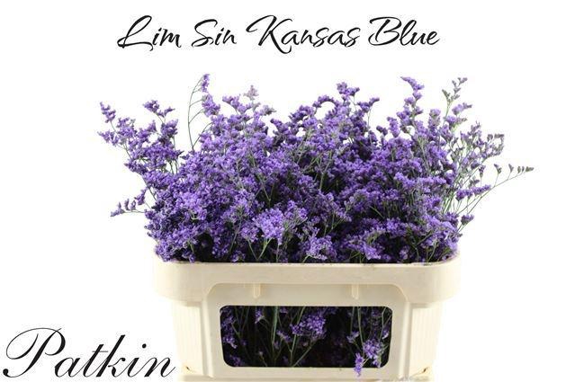 <h4>LIM SIN KANSAS BLUE</h4>