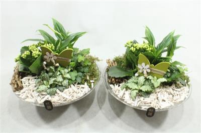 <h4>2667 WIT GLAS 28</h4>