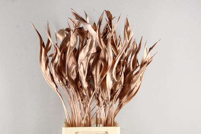 <h4>DF Strelitzia Leaf Copper</h4>