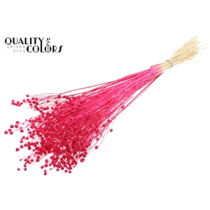 Lino Vlas per bunch in poly Intense Cerise