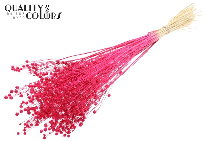 <h4>Lino Vlas per bunch in poly Intense Cerise</h4>