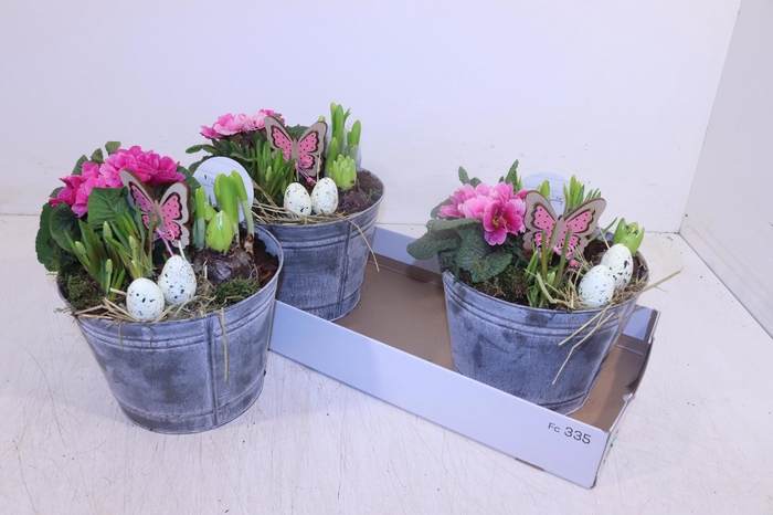 <h4>ARR TUINPLANTEN</h4>