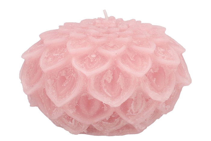 Candle Dahlia Light Pink 15x10cm