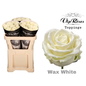 R Gr Vip Wax White X30