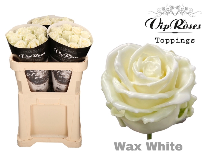 <h4>R GR WAX WHITE x30 998</h4>