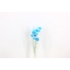 Pres Craspedia Giant 10pcs L Blue Bunch