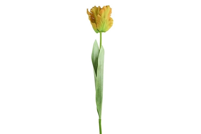 <h4>Af Tulip Parrot L69cm Yellow</h4>