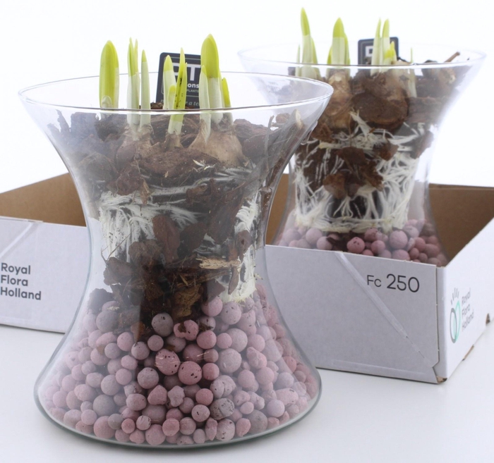 <h4>ARR N TETE A TETE</h4>