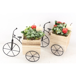 arr2 TD - Driewieler - rood/wit