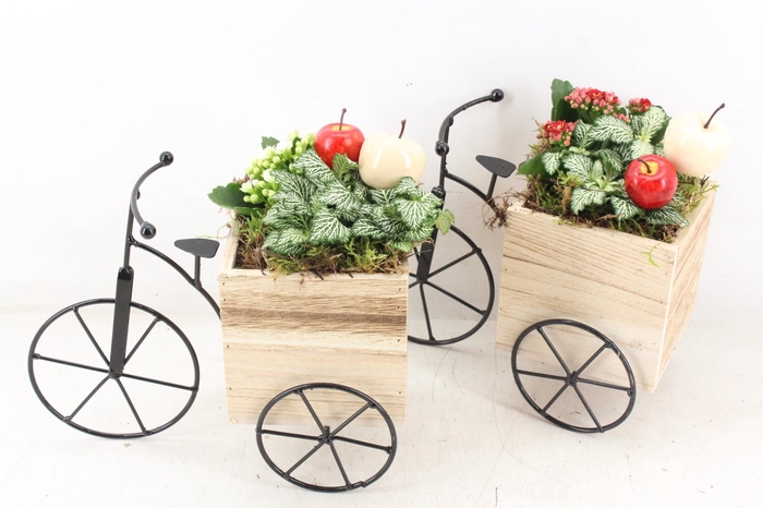 <h4>arr2 TD - Driewieler - rood/wit</h4>