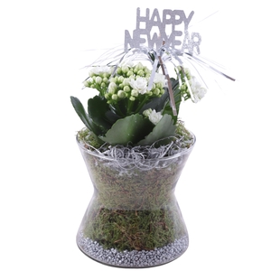 New Year Arr. Indoor Glass Hourglass Ø13cm 1PP