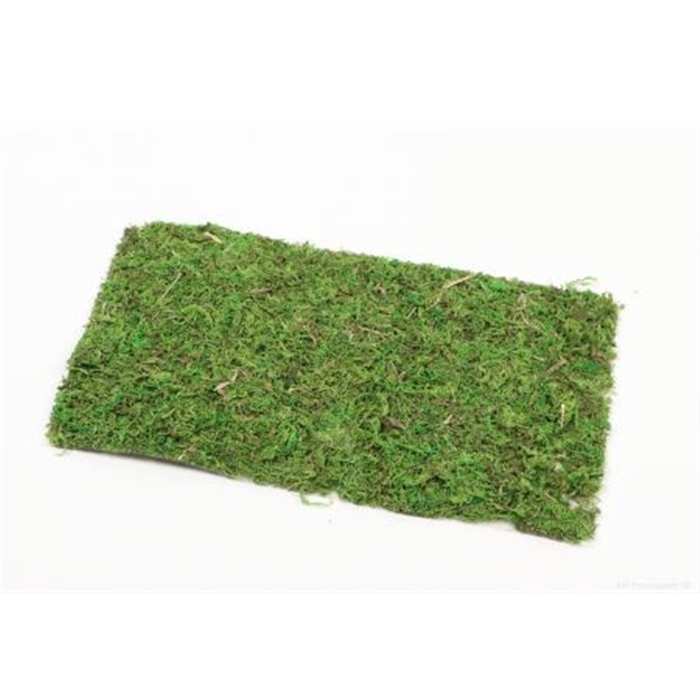 Dried articles Moss sheet 30*18cm