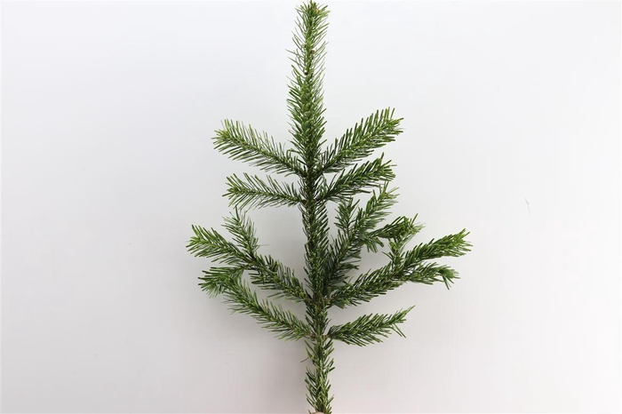 <h4>Nordmann 55 Cm Per Tak</h4>